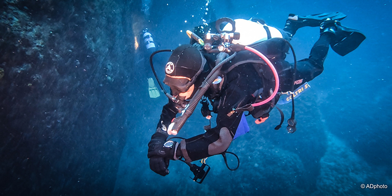 Un’estate a tutta ricerca: gorgonie e ricci diadema osservati speciali dell’Amp Isole Tremiti