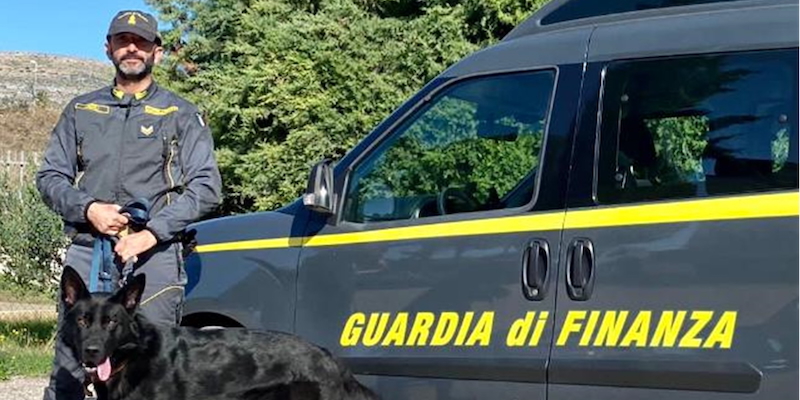 Foggia: oltre 290 sequestri grazie alle unità cinofile della Guardia di Finanza