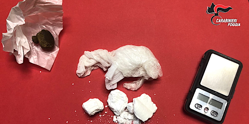 Capitanata. Contrasto a traffico droga e illegalità da parte dei Carabinieri