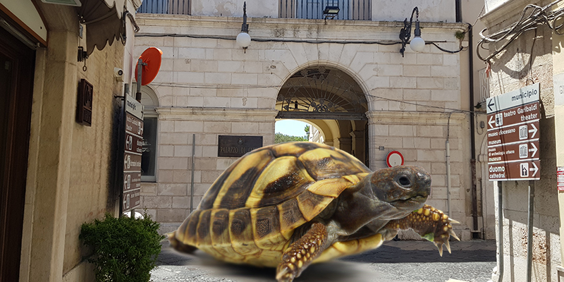 I problemi della maggioranza e l'andamento lento dell'amministrazione Pitta