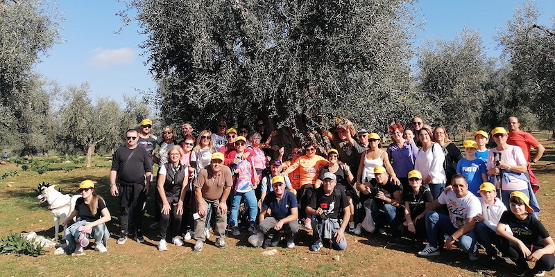 Identità alimentare e culturale a Carpino camminando tra gli olivi